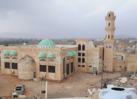 yemen/socotra-archipelago/bar/socotra-eco-tours
