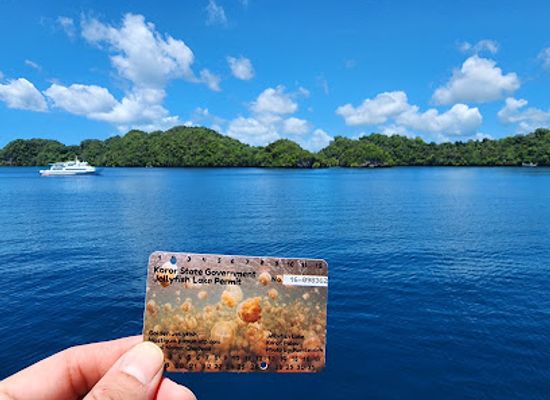 palau/tobi/bar/malakal-island