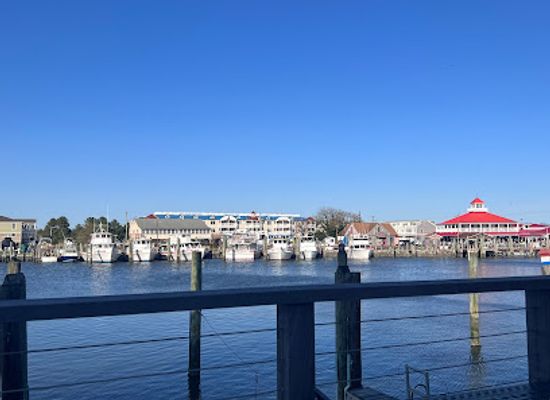 delaware/the-lewes-and-rehoboth-canal-area/bar/harbour-restaurant-at-canal-square