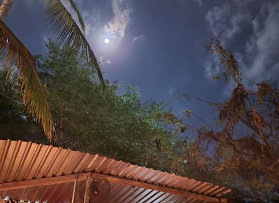 mexico/puerto-escondido/bar/congo-bar