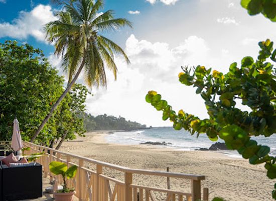 trinidad-and-tobago/nylon-pool/bar/waves-restaurant-bar