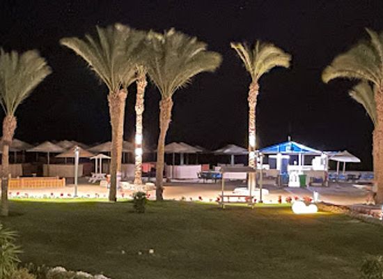 egypt/red-sea-coast/bar/beach-bar