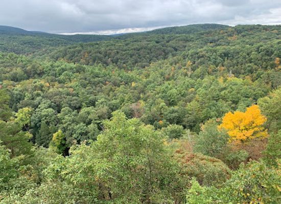 maryland/green-ridge-state-forest/bar/green-ridge-state-forest