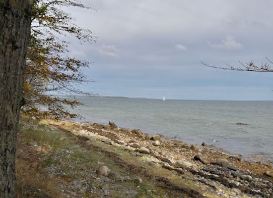 denmark/the-north-sea-islands/bar/tasinge