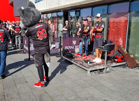denmark/herning/bar/black-wolves
