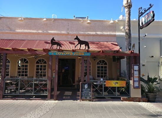 california/santa-catalina-island/bar/coyote-joe-s-bar-restaurant