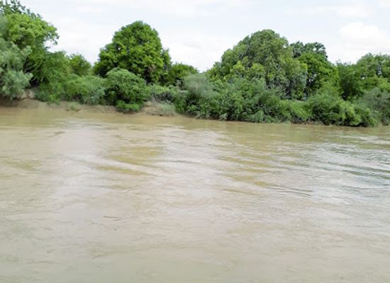 somalia/hiran/bar/wadani-xafada-laab-dheere