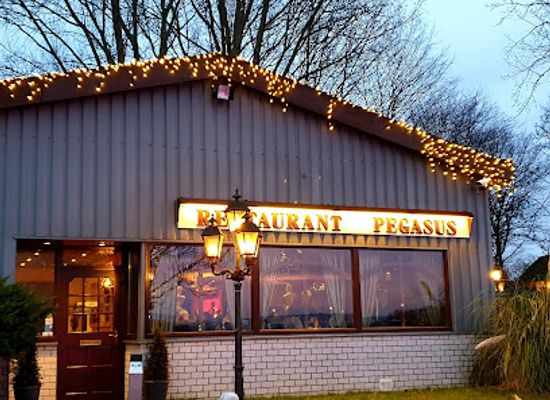 netherlands/kinderdijk/bar/restaurant-pegasus