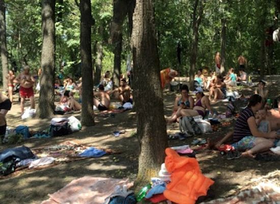 moldova/orhei-county/bar/zona-de-odihna-picnic
