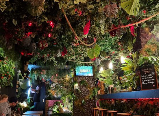 france/nord-pas-de-calais/bar/le-jungle-bar