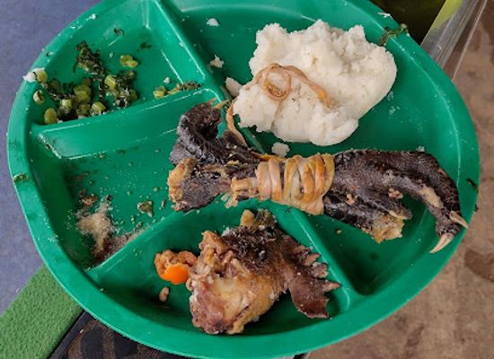 malawi/liwonde-national-park/bar/new-club-21