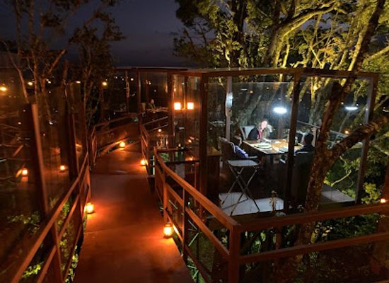 costa-rica/monteverde-cloud-forest-biological-reserve/bar/san-lucas-treetop-dining-experience
