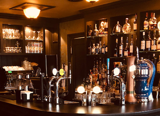 norway/oslo/holmenkollen/bar/forest-brown