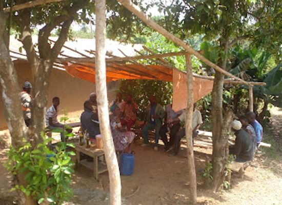 cameroon/bafia/bar/iko-ikinya