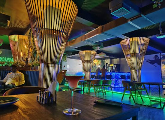 india/pondicherry/bar/wild-monkey-nightlife