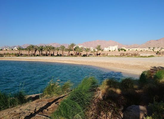 jordan/aqaba-coast/bar/mama-gaia
