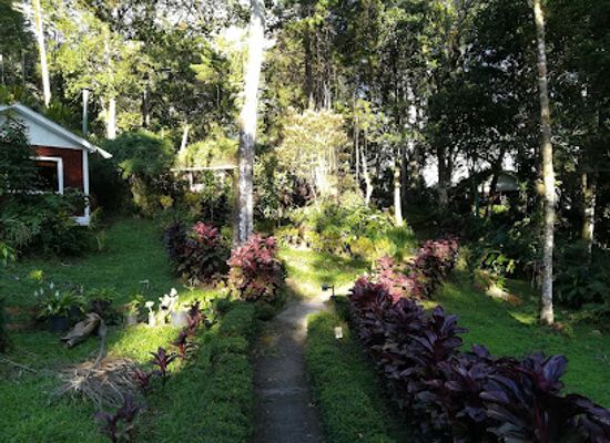 nicaragua/selva-negra-coffee-estate/bar/selva-negra-ecolodge
