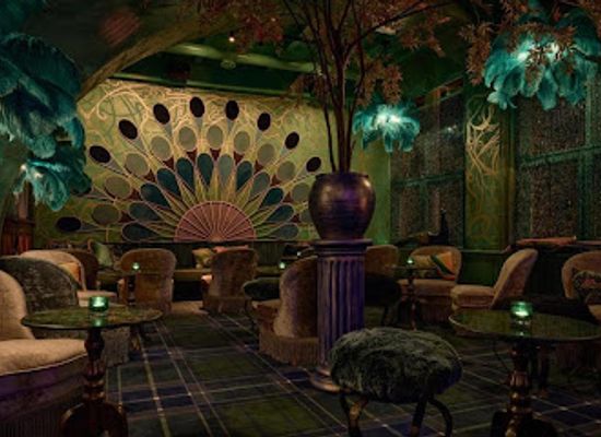 netherlands/zwolle/bar/the-peacock-bar