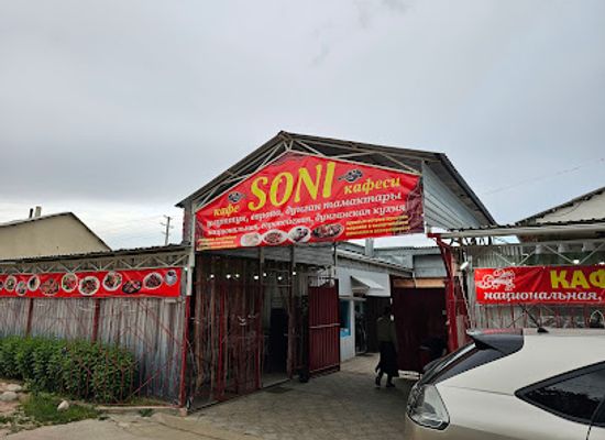 kyrgyzstan/cholpon-ata/bar/soni