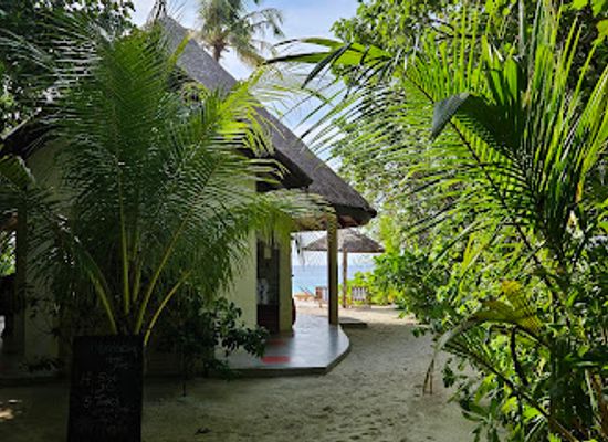 maldives/raa-atoll/bar/thari-bar