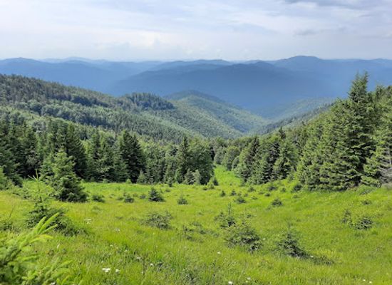 ukraine/skole-beskids/bar/skole-beskids