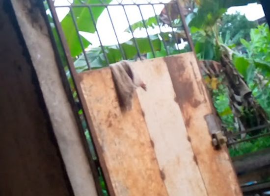 cameroon/littoral/bar/whatsapp-bar