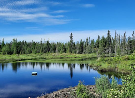 canada/gros-morne-national-park/bar/parc-national-de-la-pointe-taillon
