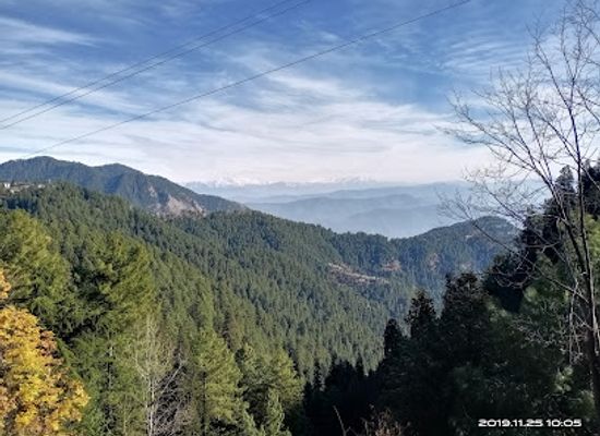 pakistan/azad-jammu-and-kashmir/bar/ayubia-national-park