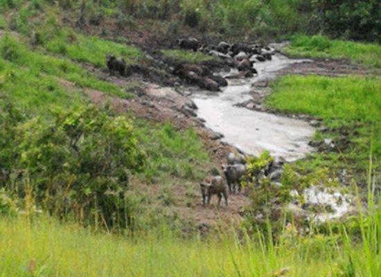 gabon/lope-national-park-area/bar/lope-national-park-entrance