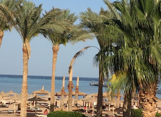 egypt/red-sea-coast/bar/the-view-bar