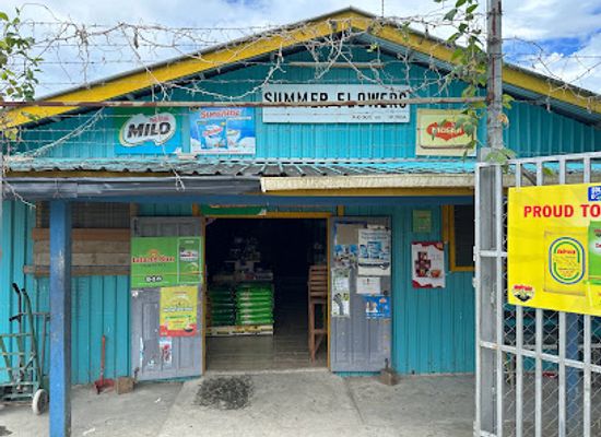 solomon-islands/gizo/bar/summer-flowers