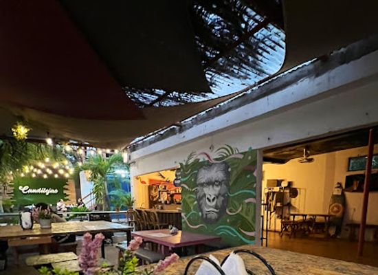 el-salvador/la-libertad/bar/junglesv