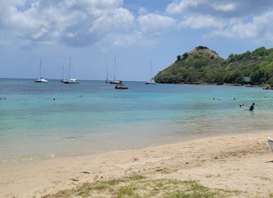 saint-lucia/pigeon-island-national-park/bar/the-thirsty-parrot