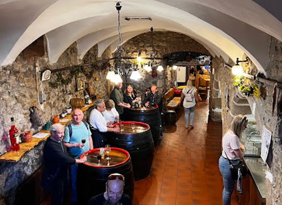 hungary/sopron-region/bar/gyogygodor-borozo