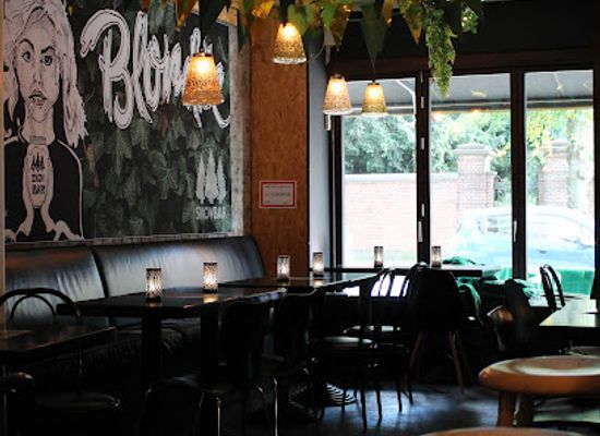 denmark/zealand/bar/skovbar