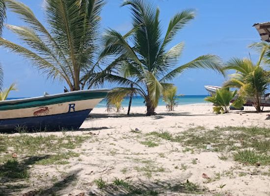 nicaragua/pearl-cays/bar/bar-banana