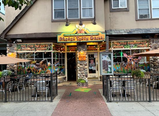 new-york/lake-george/bar/moose-tooth-grill