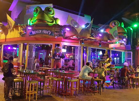cyprus/cape-greco-national-forest-park/bar/senior-frog-s-ayia-napa
