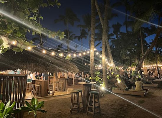 dominican-republic/los-haitises/bar/el-mosquito-bar
