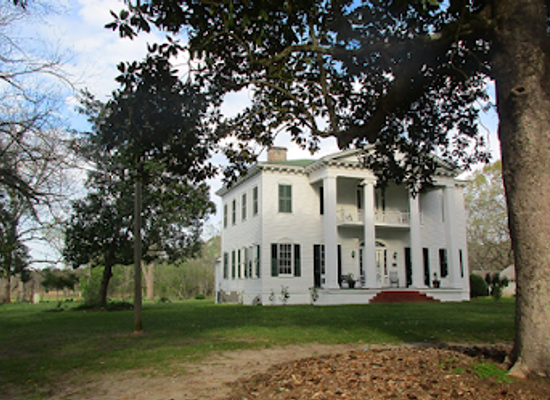 alabama/roland-cooper-state-park/bar/liberty-hall-bed-and-breakfast