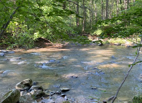 maryland/gunpowder-falls-state-park/bar/little-gunpowder-falls-state-park-trailhead