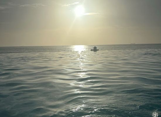 the-bahamas/bimini-islands/bar/tili-bar-and-grill