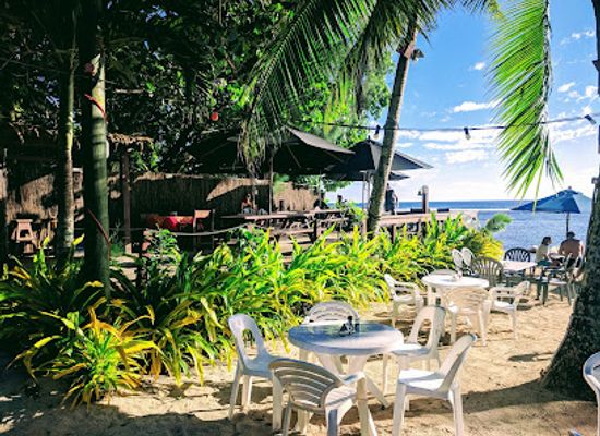 cook-islands/rarotonga/bar/wilsons-bar-restaurant