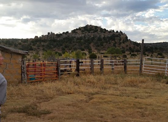 oklahoma/panhandle/bar/hitching-post-working-ranch