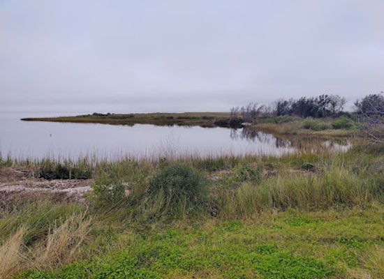 louisiana/sabine-national-wildlife-refuge/bar/blue-goose-trail
