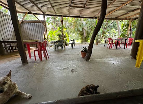 new-caledonia/poindimie/bar/snack-naaoutea