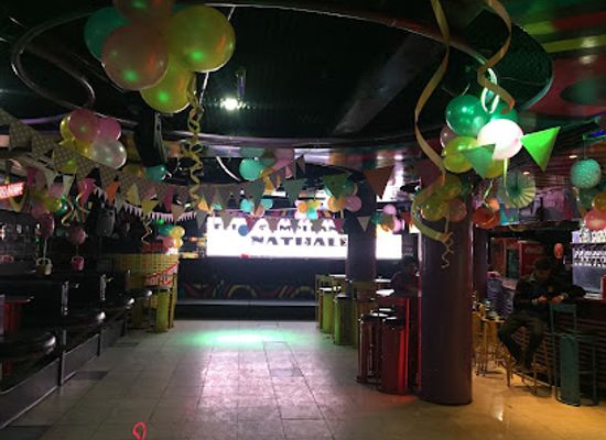 bolivia/tarija-valley/bar/disco-dogs-cats