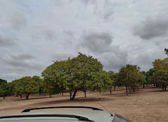 burkina-faso/dedougou/bar/milles-manguiers-de-deux-doux-gouts