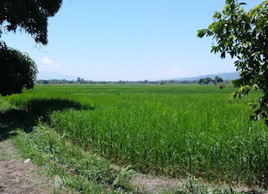haiti/artibonite/bar/preval-artibonite