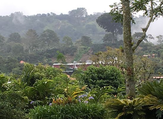 costa-rica/turrialba-valley/bar/aquiares-coffee-community-experience